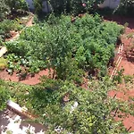 The Consists Of Two Bedrooms, A Bathroom, A Kitchen And A Living * Zara