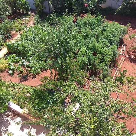 The Consists Of Two Bedrooms, A Bathroom, A Kitchen And A Living * זאדאר